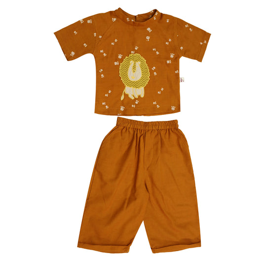 tiger clothing set for boys
