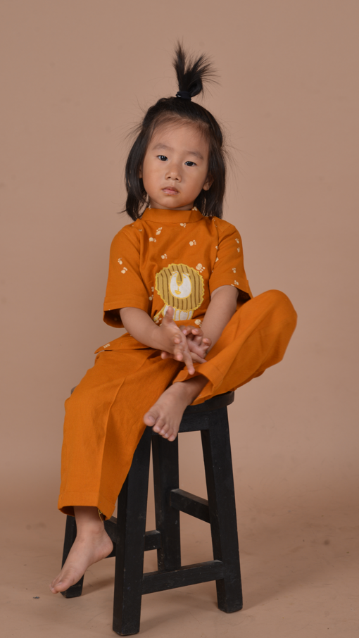 Golden Lion Boy's Co-ord Set