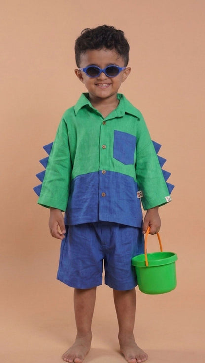 Dino Dash Colorblock Co-ord Set