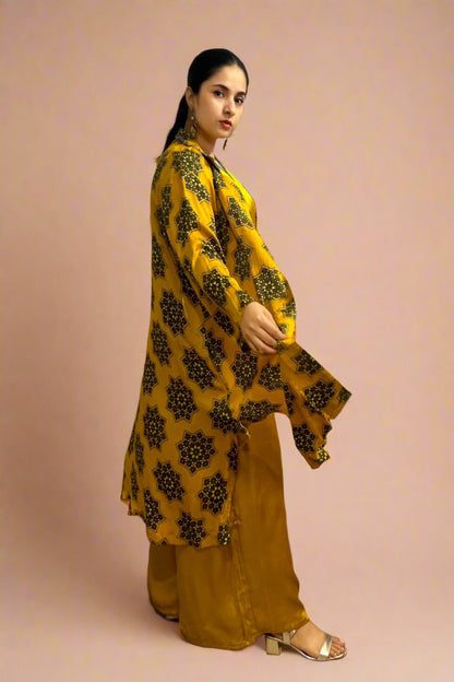 Radnya Long jacket with sleeves